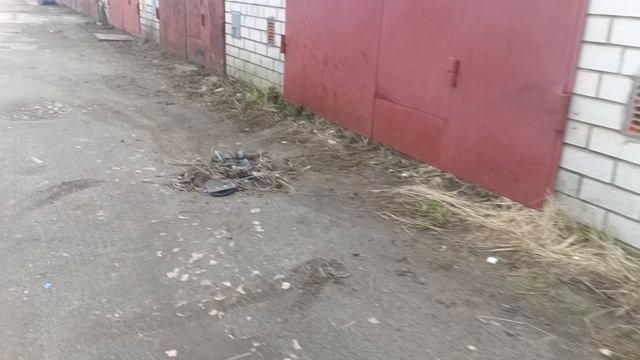 субботник в гск солнечный