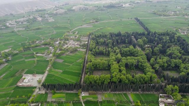 Звук, от которого СХОДЯТ С УМА! - From-Pillar-To-Post -- Ketsa -- Collective Consciousness