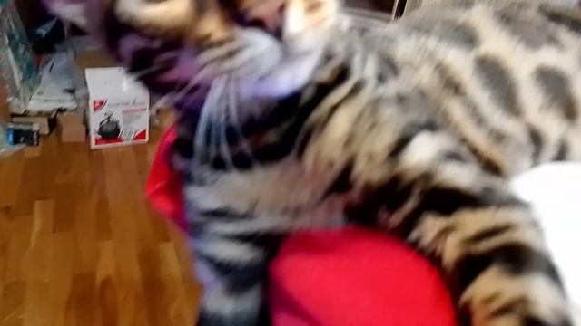 VID_20250619_194953