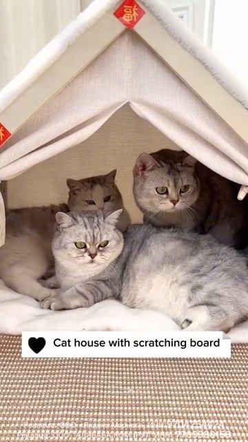 Палатка для животных