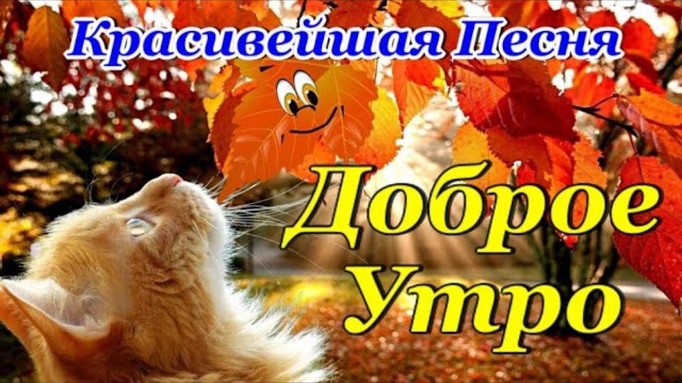С Добрым Утром🍂🍁🍂Красивая Песня Сергея Чекалина! Обязательно Послушайте!