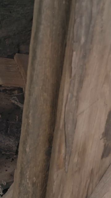 Wild Camping at the Norwegian Sea (ASMR) #4 #shorts