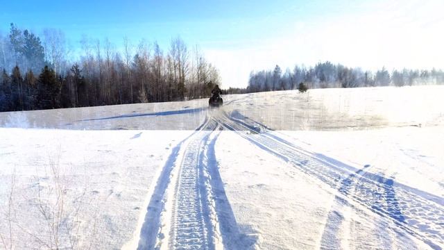 Снегоход Stels