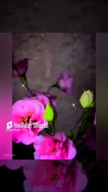 VID_20250619070023