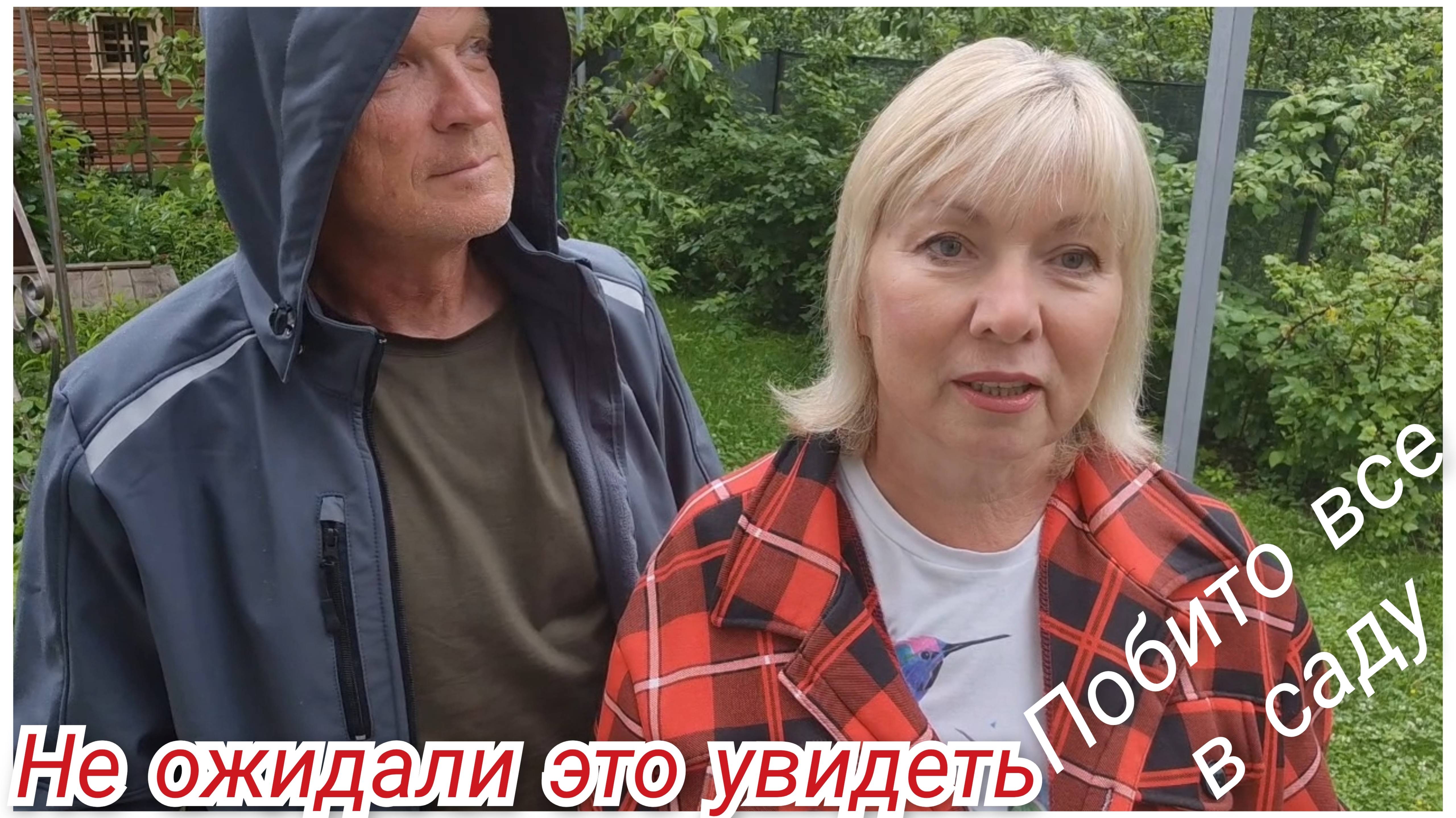 Бросили дачу надолго.Слезы от увиденного.Град побил все ( Зато ТОМАТЫ УЖЕ СПЕЮТ и ПЕРЕЦ УДИВИЛ