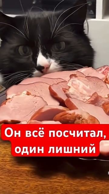 Один кусочек лишний