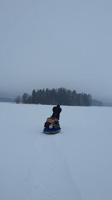 диман тащит