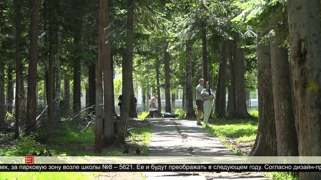 Выбор сделан 18.06.2025