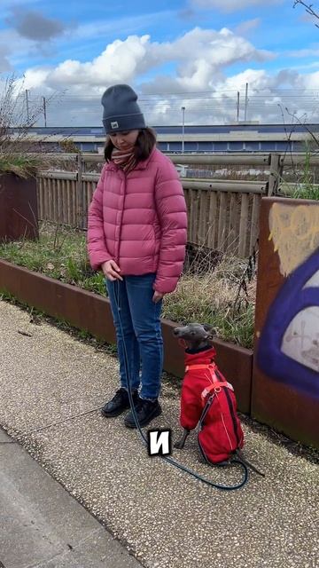 Луиджи болеет за Ferrari?