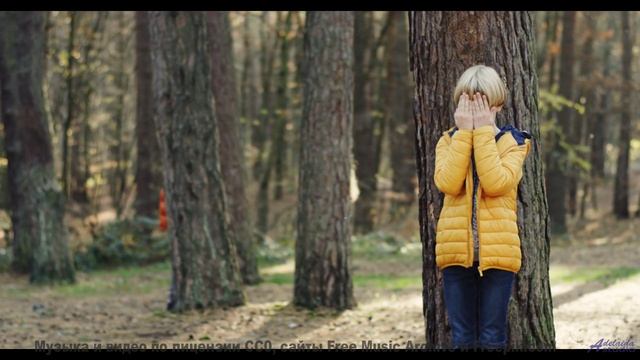 Дорога домой становится короче, когда её сопровождает этот саундтрек - Thinking Free -- Ketsa -- 5D
