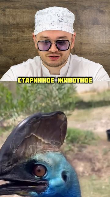 Что за птица 🐦😍