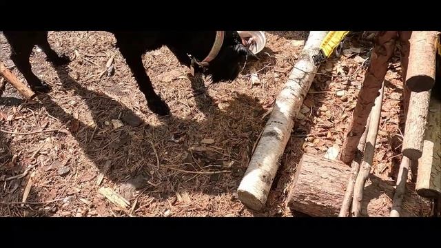 Карелия, Беломорская Шуя, порог Сосновый