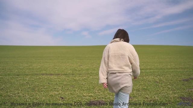 Включите этот трек - и пусть мир станет вашим романом! - See Saw Moon -- Crowander -- Uplifting Funb