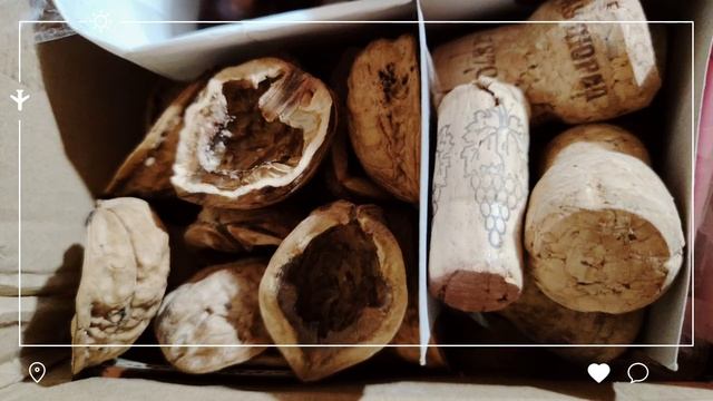 Дары природы. Осенний блок занятий