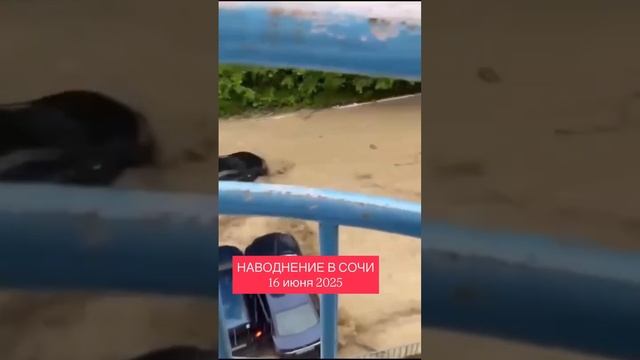 Сочи потом после дождя