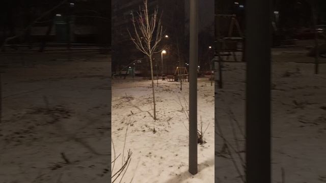 Ночная прогулка