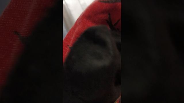 1000007549.mp4
