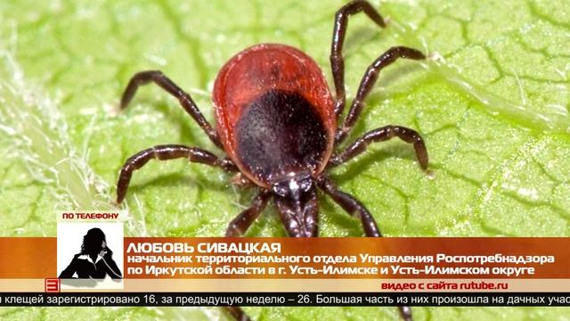 Положительная динамика 18.06.2025