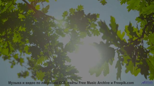 Когда мороз рисует узоры, а музыка - эмоции! - Catch and Release -- Satellite State -- Collective