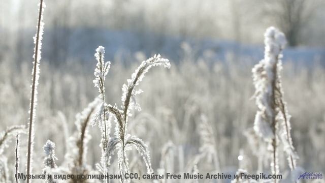 Почему мудрецы медитируют под эти звуки Истина здесь! - Clavecin -- Anne Laplantine -- Padon