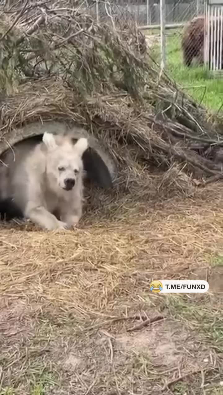 Доброе утро!😅
