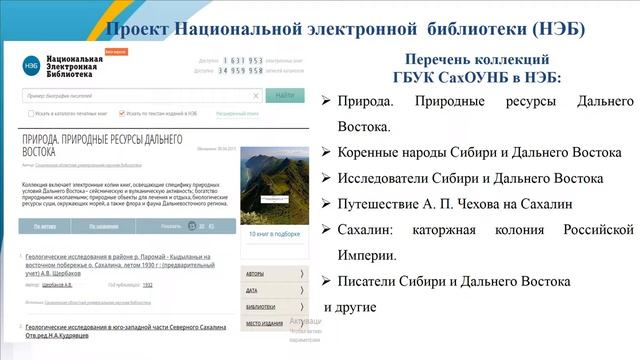 Проекты Публичной электронной библиотеки и Национальной электронной библиотеки