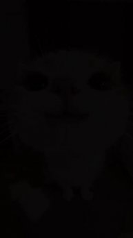 милый котенок желает вам хорошего дня!!!