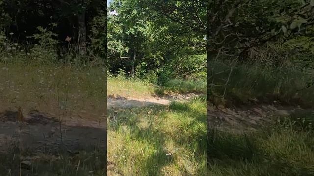 Крутой подъем по скальной стене к крепости на вершине, гигантские ступени