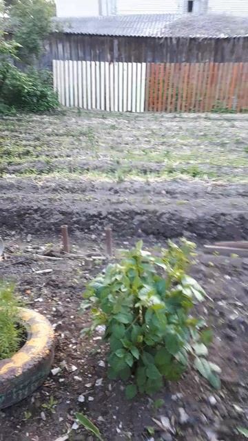 20250617_191437.mp4