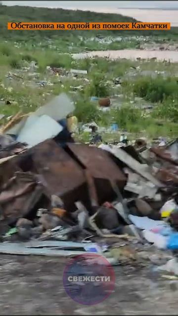 Обстановка на одной из помоек Камчатки