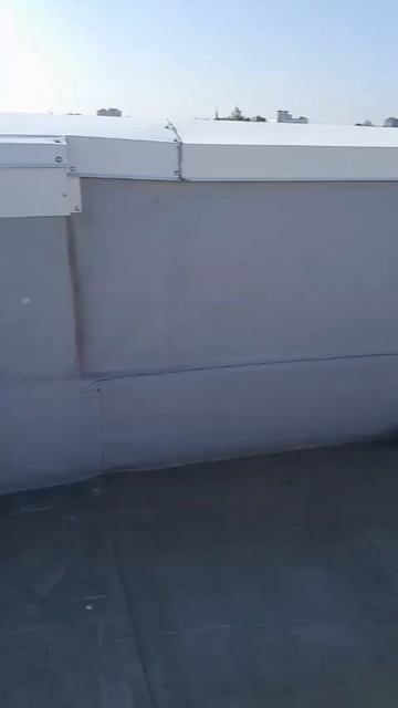 Работа 1