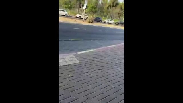 Газа посетила евровермахт...
