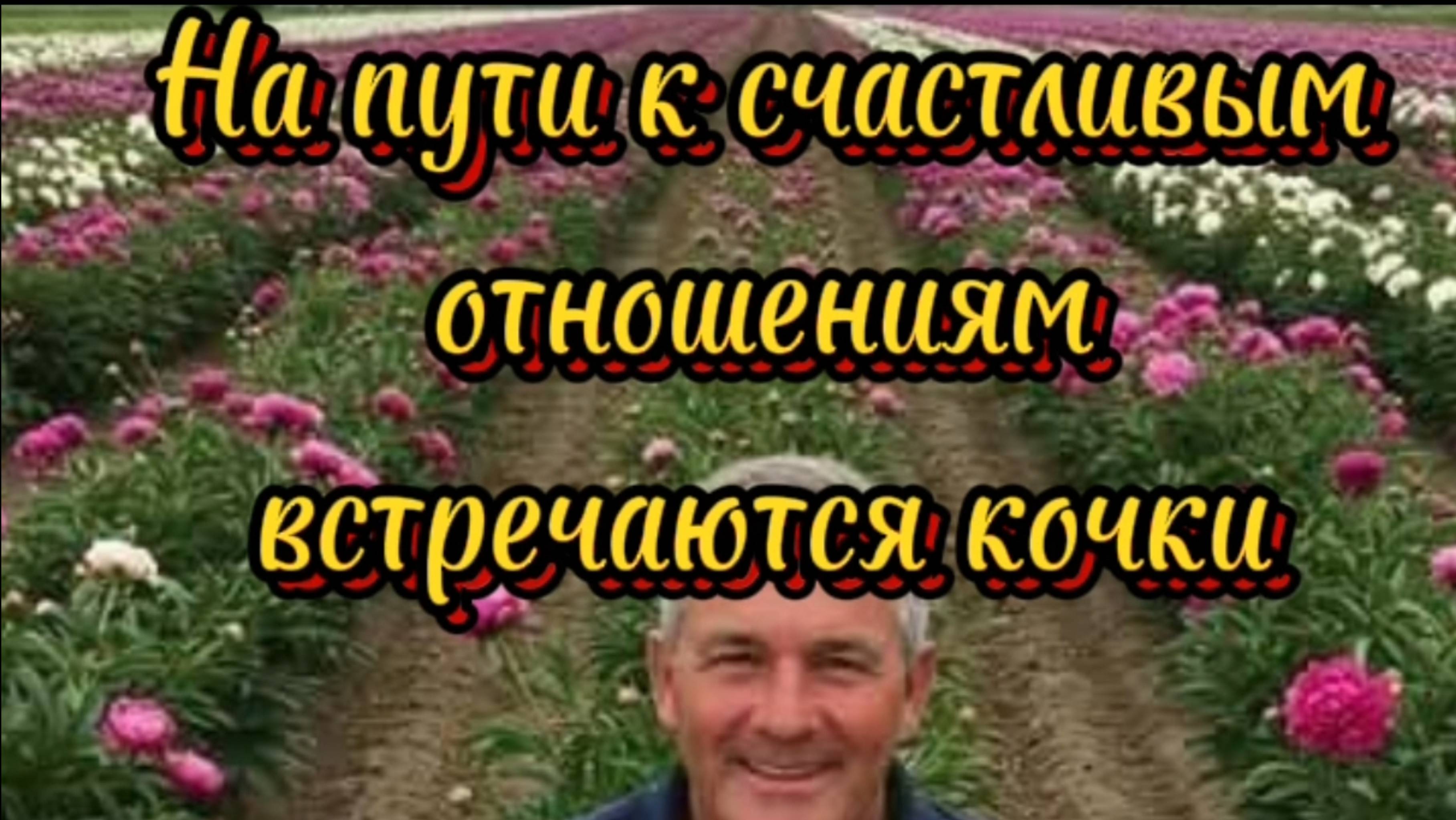 На пути к счастливым отношениям встречаются кочки