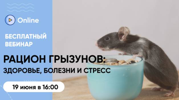 БЕСПЛАТНЫЙ вебинар:  «Как рацион влияет на здоровье и поведение грызунов: от болезней до стресса»