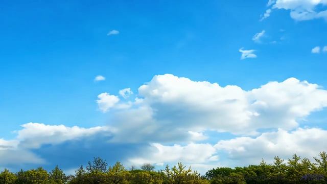 Это видео - как глоток свежего зимнего воздуха! - Inspiring and Upbeat -- Scott Holmes Music -- Happ