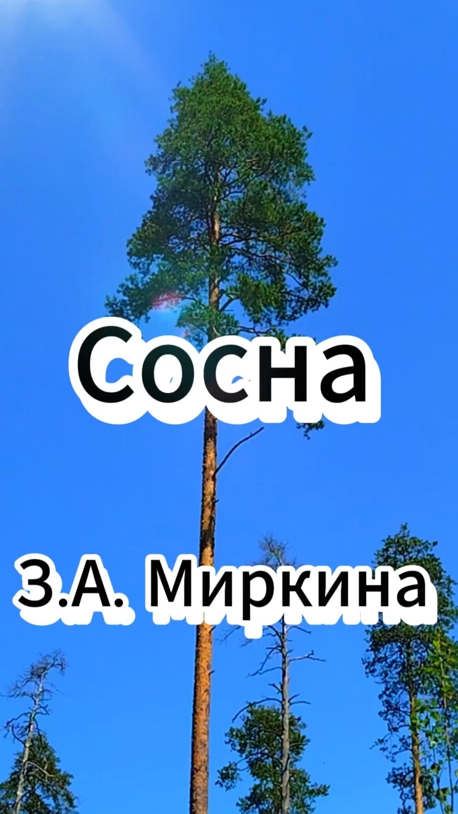 Стихи Зинаиды Миркиной