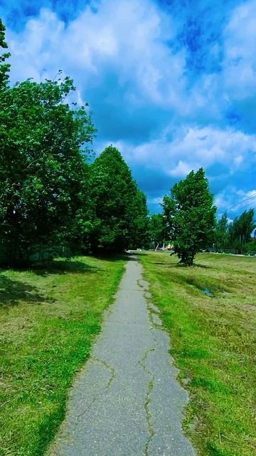 Моя погода сегодня🙂🌿🌲☘️