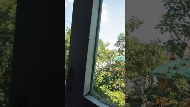 г. Томск, СНТ Весна.mp4
