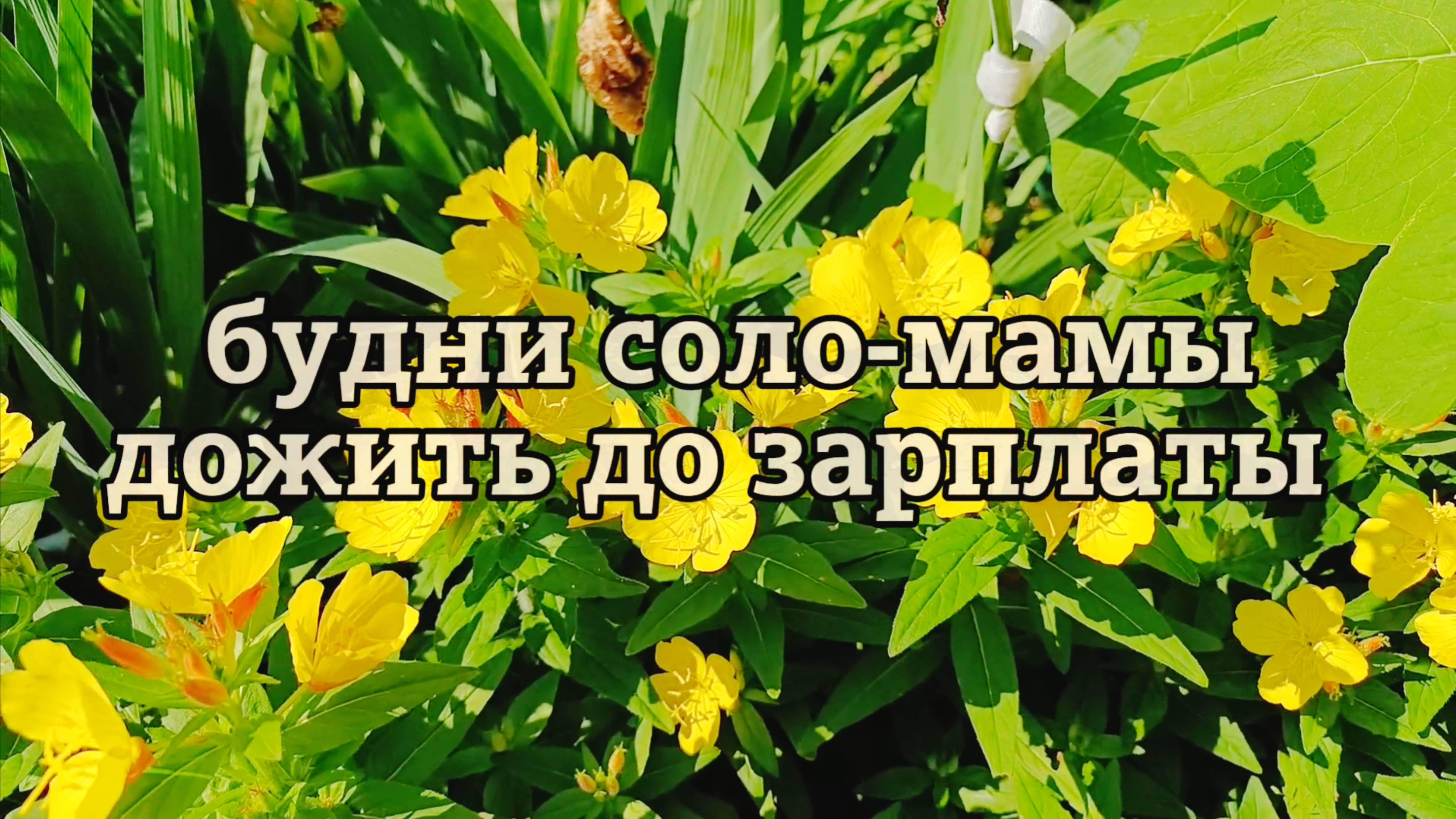 ОДНА С ДВУМЯ ДЕТЬМИ КАК ДОЖИТЬ ДО ЗАРПЛАТЫ