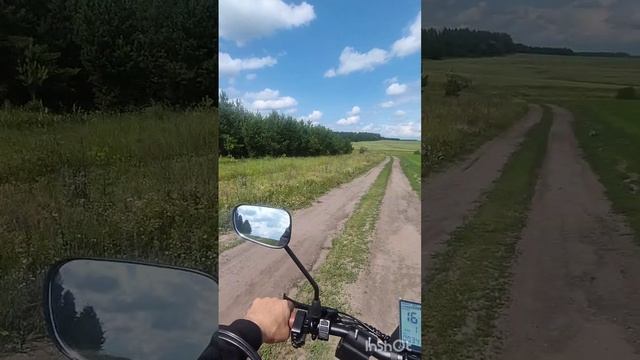 по  следам ягод