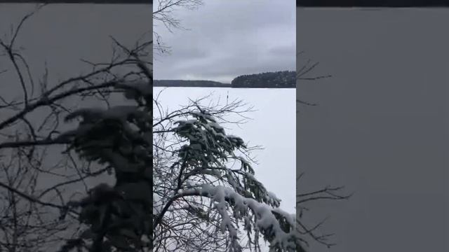 22 февраля 2021 г.