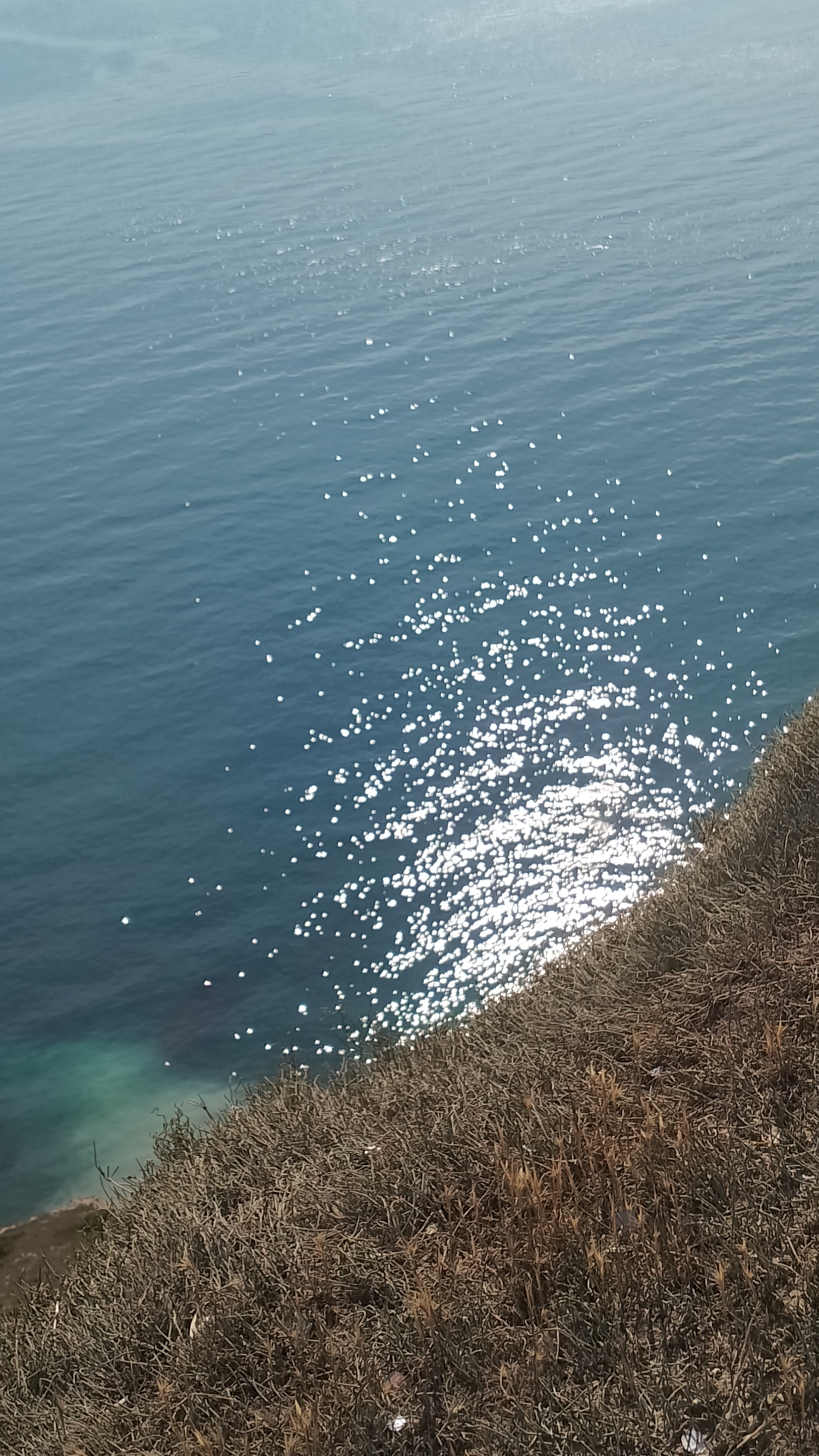 Прибрежье Анапы