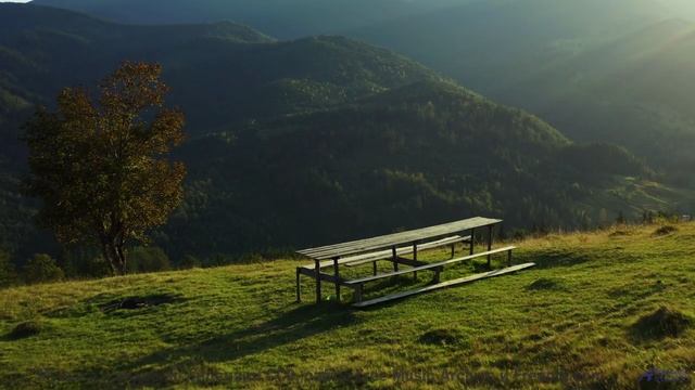 Этот трек откроет вам совершенно другую Землю - Never Long (Time Goes By) -- Sahara Sky -- Escapism