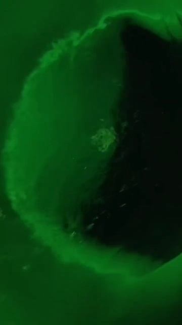 Подсветка в купелях SpaWagon.ru