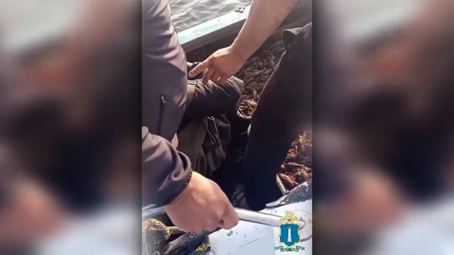 ⚡️Ульяновские полицейские изъяли у браконьеров свыше тысячи раков  Изъято 25 орудий лова. Сумма прич