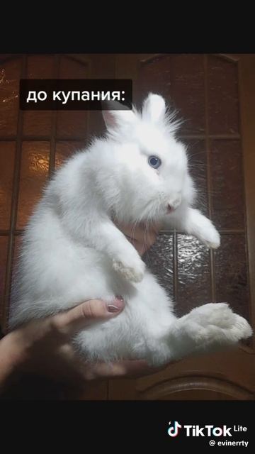 Ооноту