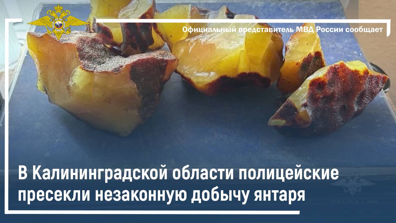 В Калининградской области полицейские пресекли незаконную добычу янтаря