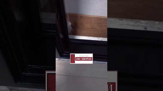 Обзор двери "Толстяк"