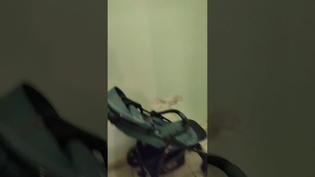 1000114591.mp4