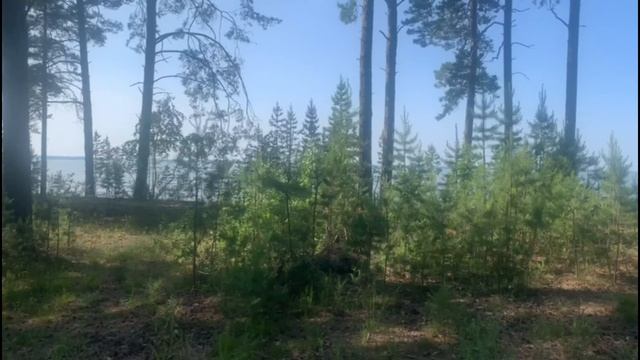 Если мужчина говорит это твои пробемы и решай их сама